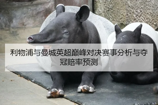 利物浦与曼城英超巅峰对决赛事分析与夺冠赔率预测
